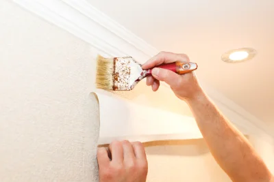 Pose de papier peint à Mesplède — revêtements muraux et toiles de verre